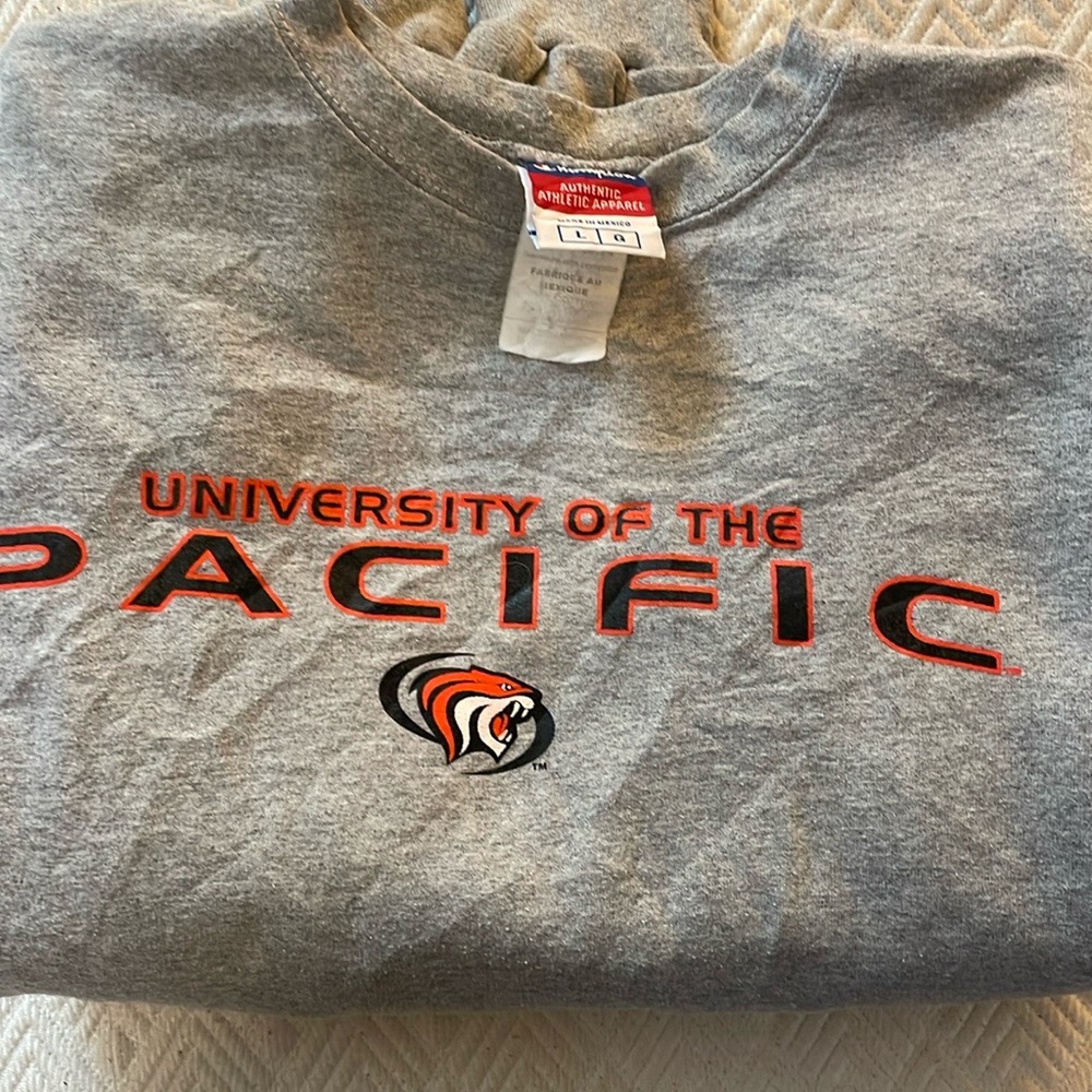 VINTAGE CHAMPION CREWNECK